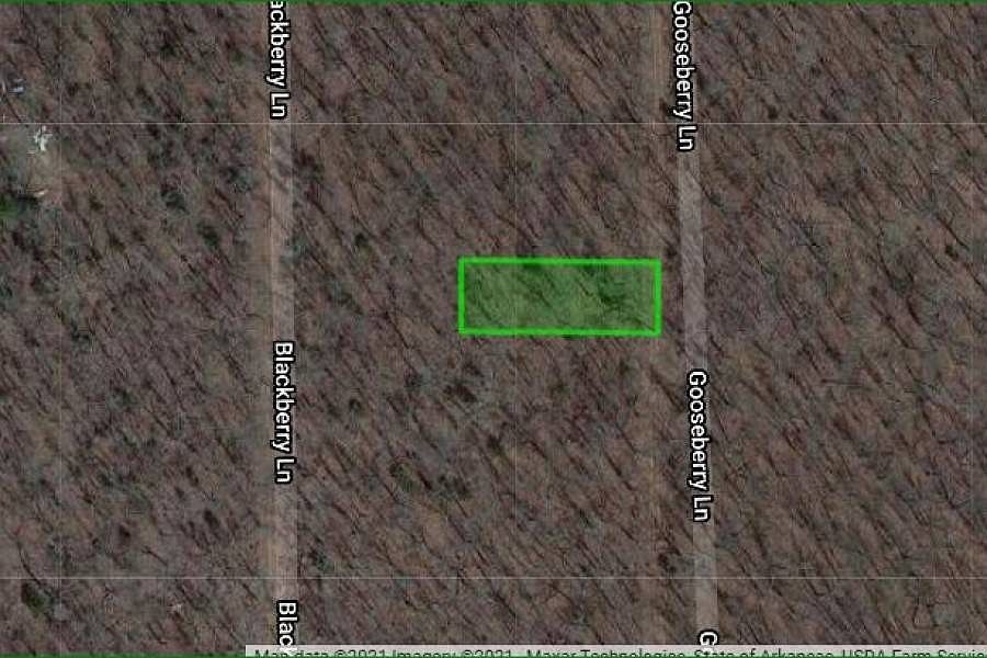 2nd image of 1313 Gooseberry Ln