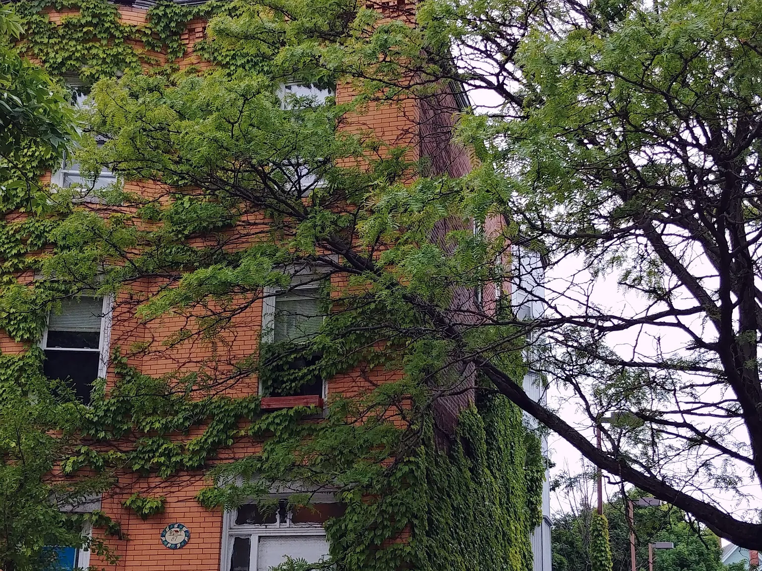 67 Bishop Allen Dr — Photo 3
