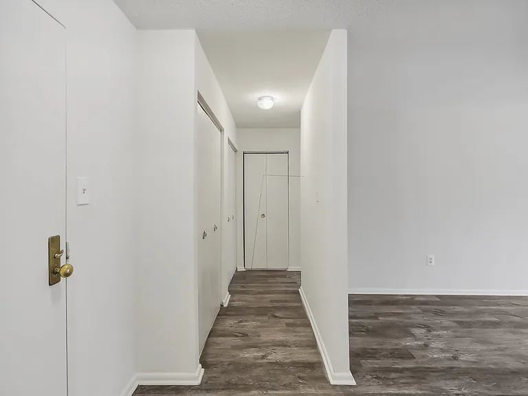 Hallway with spacious closets for extra storage at Trillium in Fairfax, VA