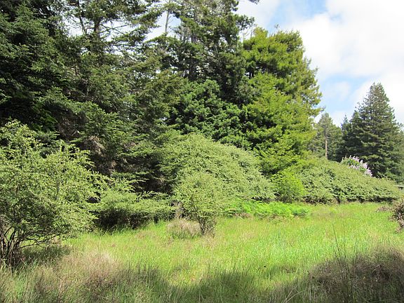 3rd image of 44280 Caspar Little Lake Rd