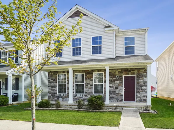 123 Purple Leaf Ln, Lewis Center, OH 43035