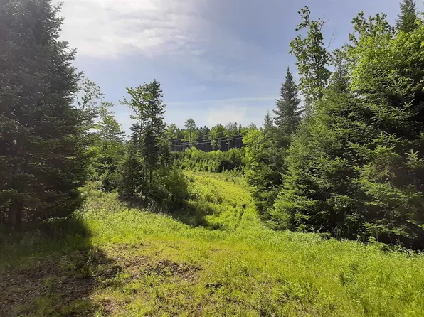 0 Summit Road, Mount Holly, VT 05758