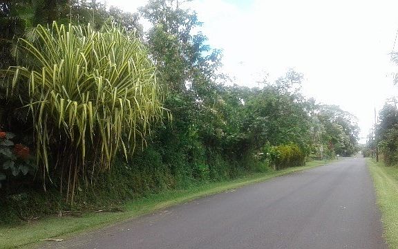 3rd image of Alapai St Lot 61