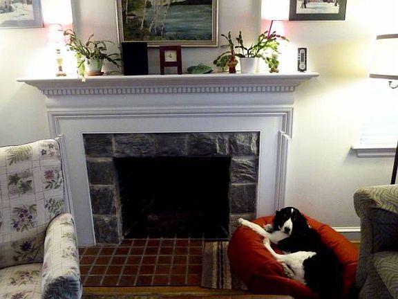 Living Room Fire Place