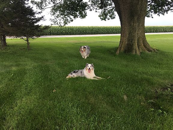 West side facing south