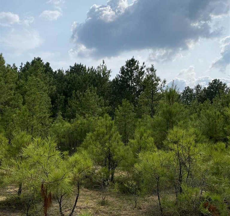 2nd image of Fm 134