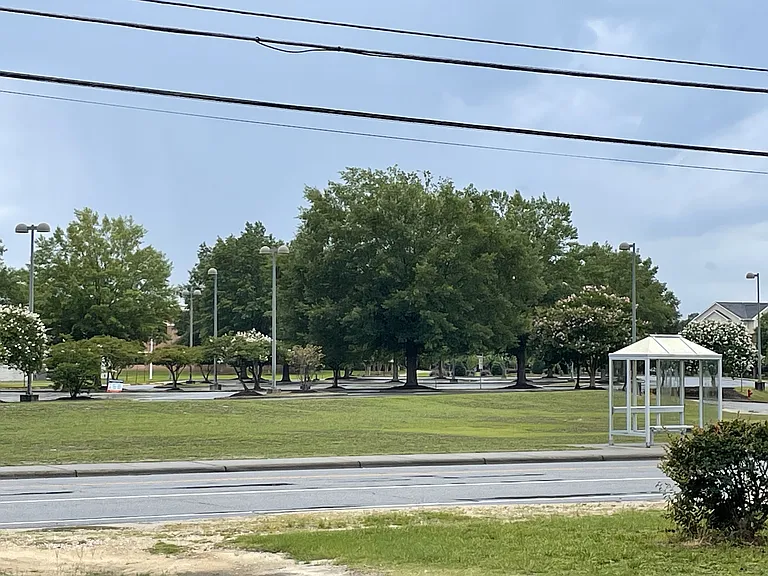 Spring Lake Library across street