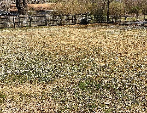 Fenced backyard with patio