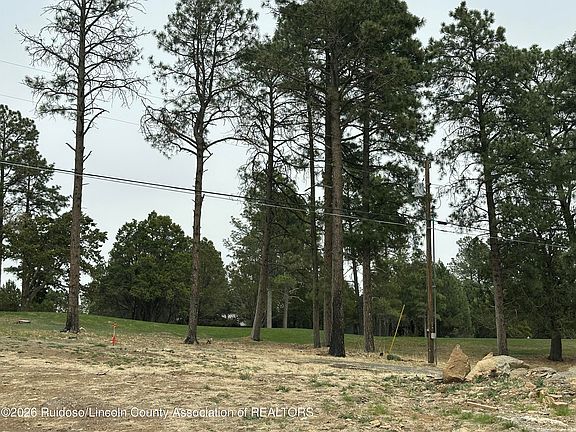 2nd image of 125 Crown Ridge Rd