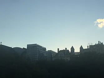 Rented by Working Realty, Ltd.