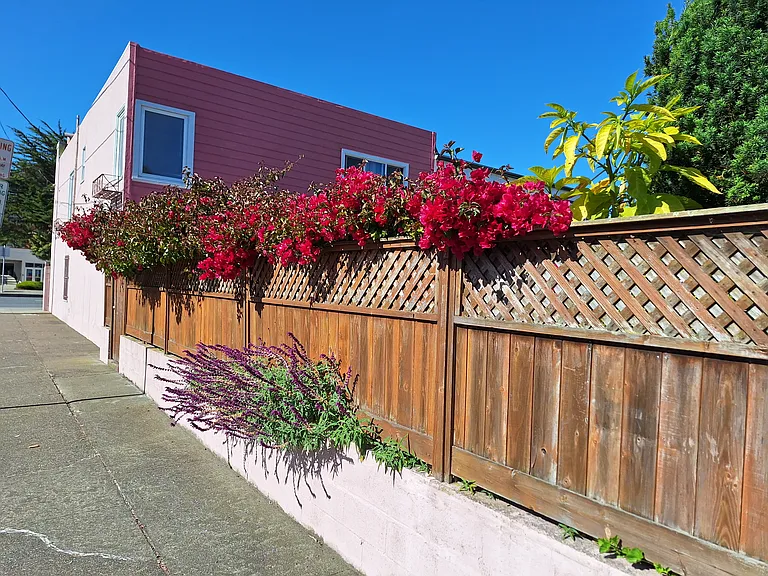 3964 Alemany Blvd — Photo 8