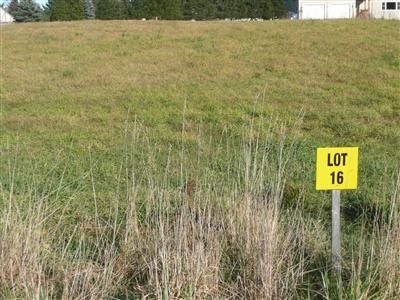 0 Emily Dr Lot 16, Otego, NY, 13825