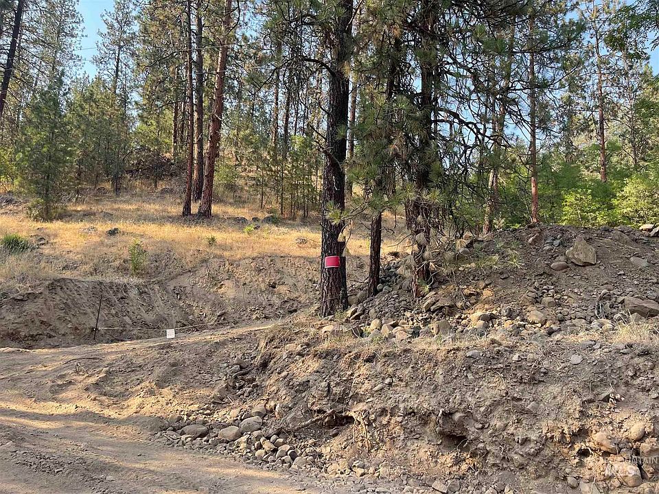 Old Peck Grade, Lenore, ID 83541 Zillow