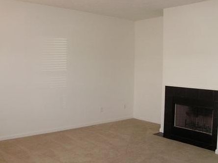 Wood burning fireplace
