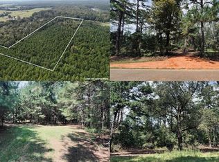 16879 Meriwether Trl, Grady, AL 36036