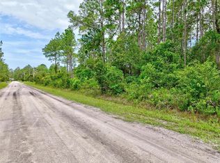 4168 Fruitwood Ave LOT 10, Bunnell, FL 32110
