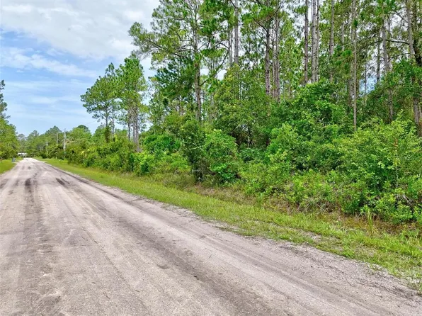 4168 Fruitwood Ave Lot 10, Bunnell, FL 32110