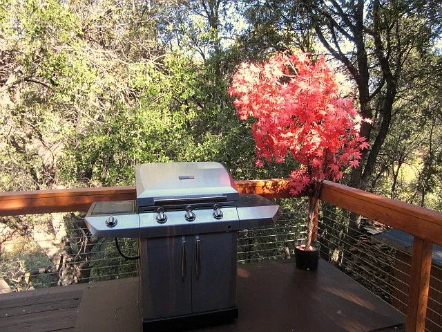 2239 Bernina Dr — Photo 24