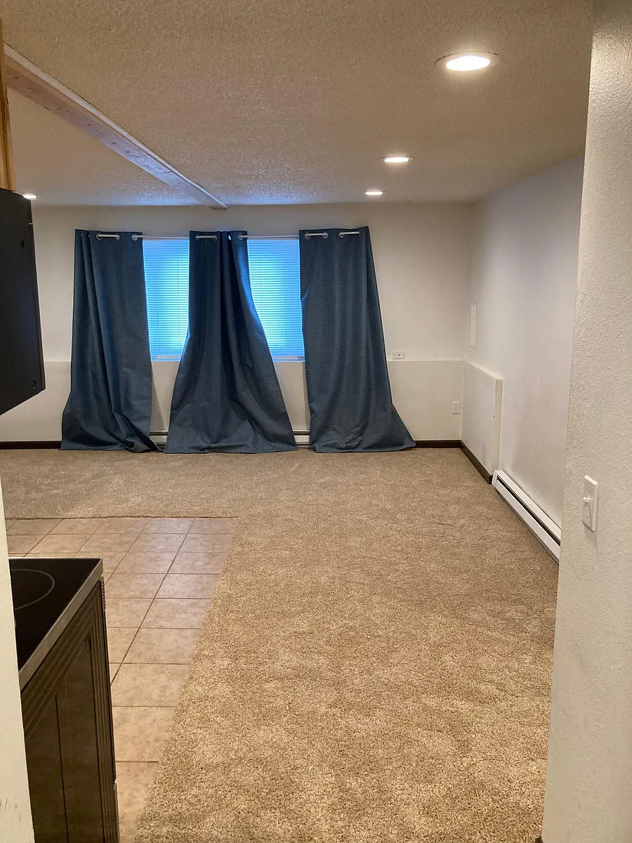 Hall to living room/kithchen - 2916 N Stone St #2916