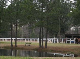 8618 Savannah Hwy, Adams Run, SC 29426