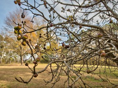 5140 Seven Islands Rd #1, Madison, GA, 30650