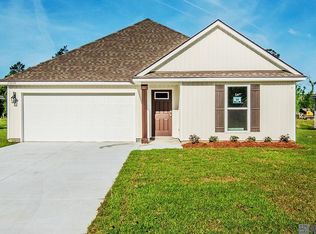 25010 Berry Ridge Ln, Springfield, LA 70462