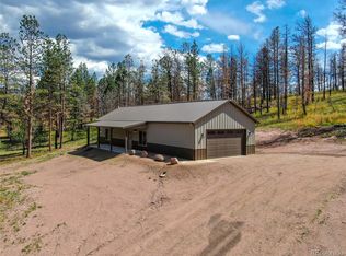 28 Spring Valley Dr, Florissant, CO 80816