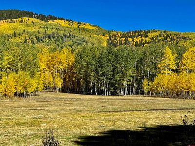 49404 FS 567, Mancos, CO, 81328