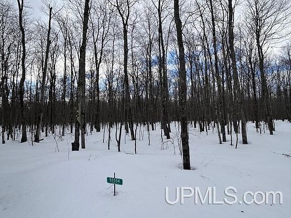 3rd image of 53554 N Superior Rd