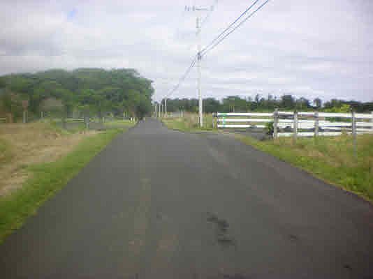 2nd image of N Peck Rd Lot 169F