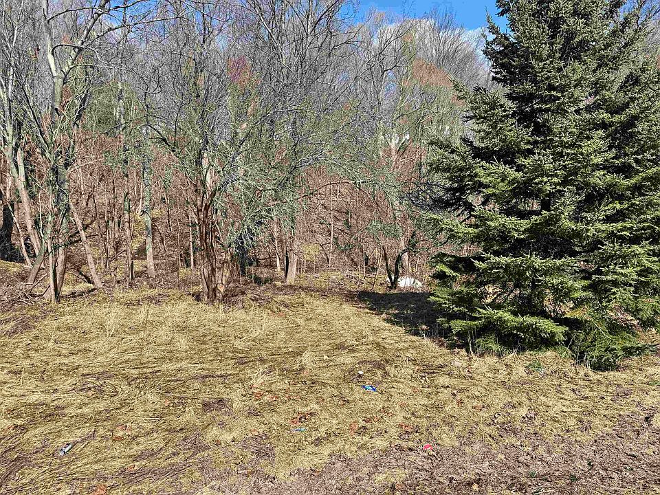 1st image of LOT Munroe Ave