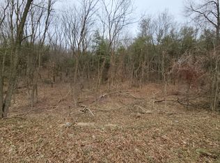 LOT Hoffman Rd #D, Three Rivers, MI 49093