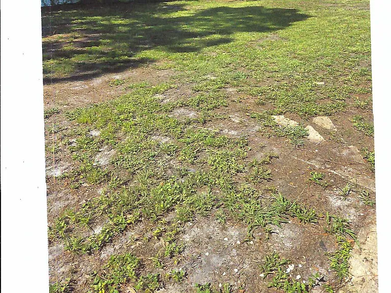 129 Wasp Dr — Photo 2