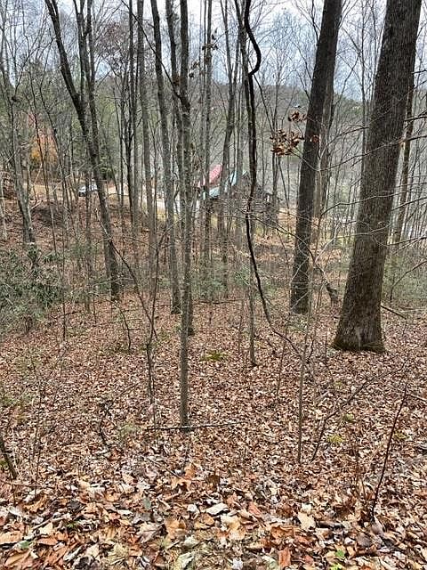 1st image of LOT 5 Hickory Hollow Way