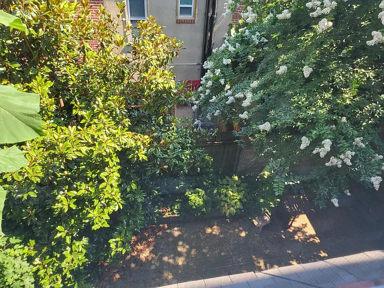 View from Kitch of 35' shared YARD.