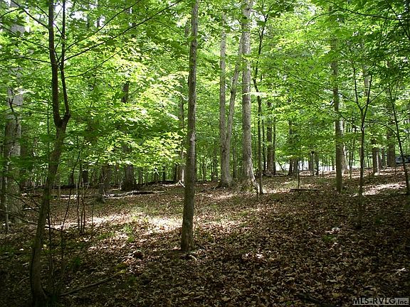 5th image of 105 Oak Run Run