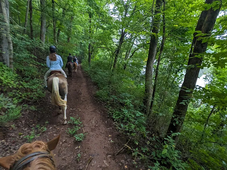 Trail along the Hiwassee River