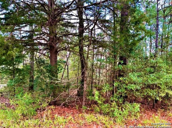00 Sir Robert Burns LOT 159, Woodville, TX 75979