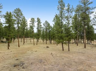 Tin Cup Trl, Custer, SD 57730