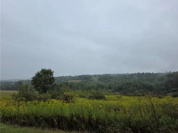 0 Symonds Rd #4, Woodhull, NY 14898