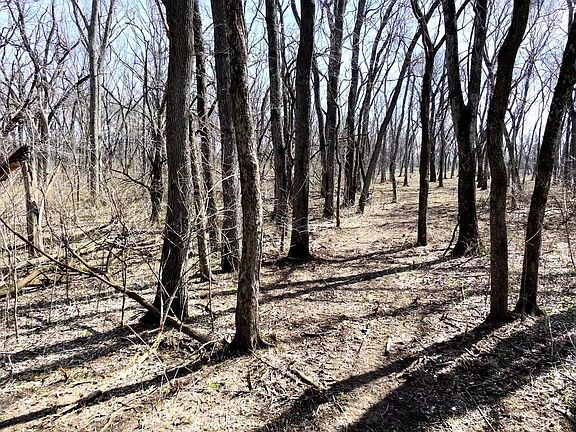 3rd image of LOT 10 E 845th Rd