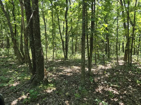 State Highway 42, Belle, MO 65013