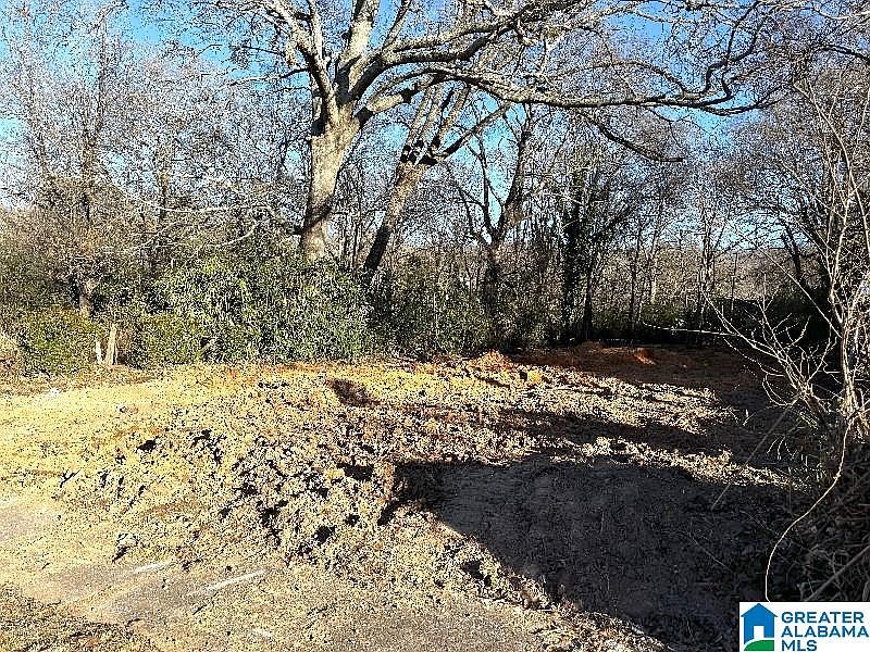 2nd image of 8215 5th Ave S #0