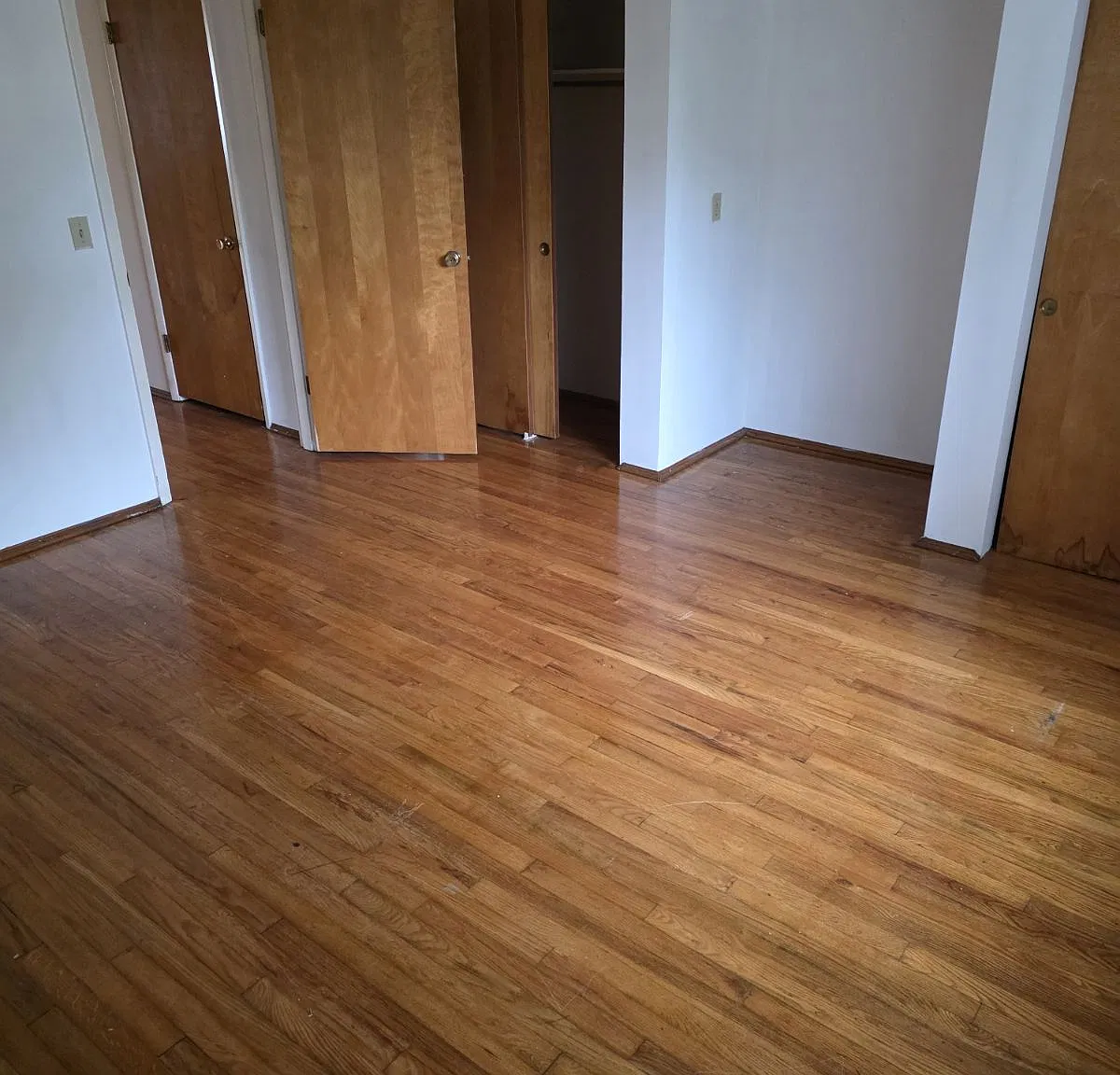 111 Koehler Avenue - 4 — Photo 3
