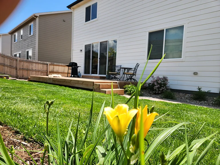 6413 Bodacious Cir — Photo 36