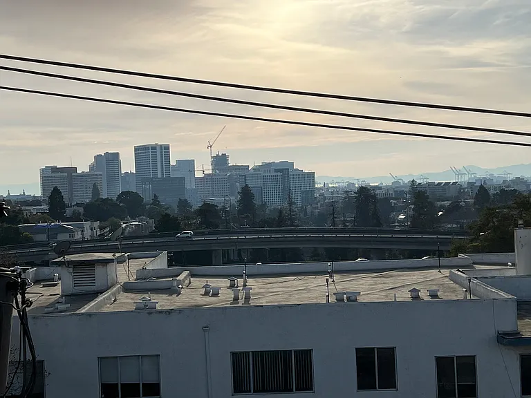 555 Oakland Ave #PENTHOUSE — Photo 6