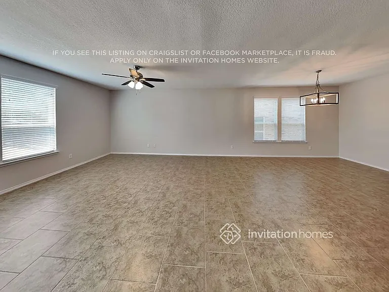 1607 Crown Daisy — Photo 8