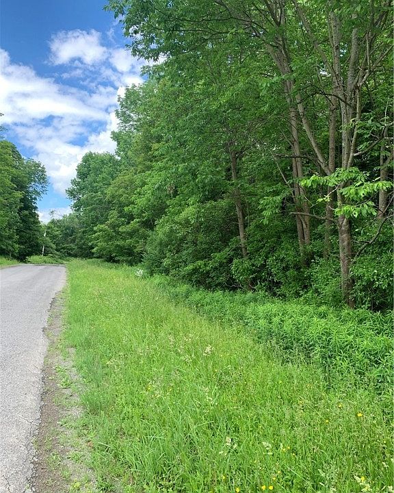 0 Cold Brook Rd, Homer, NY 13077 MLS S1412419 Zillow