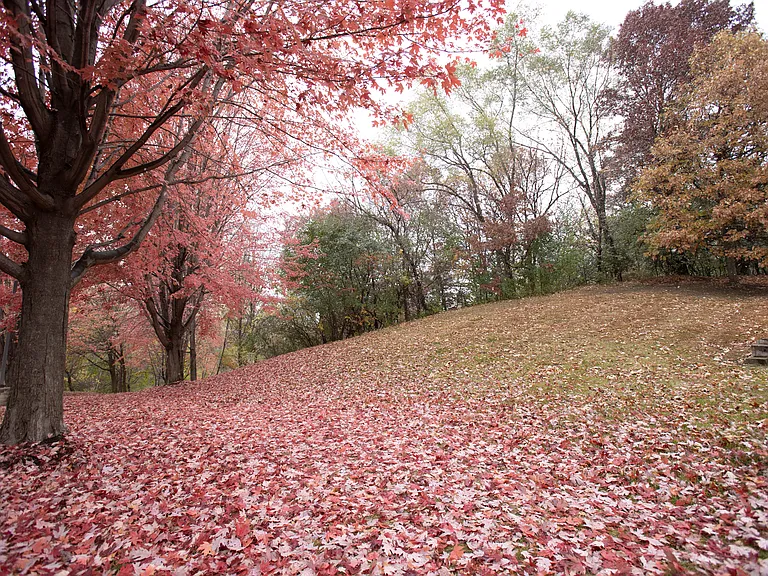 Scenic wooded grounds _ beautiful in any season!