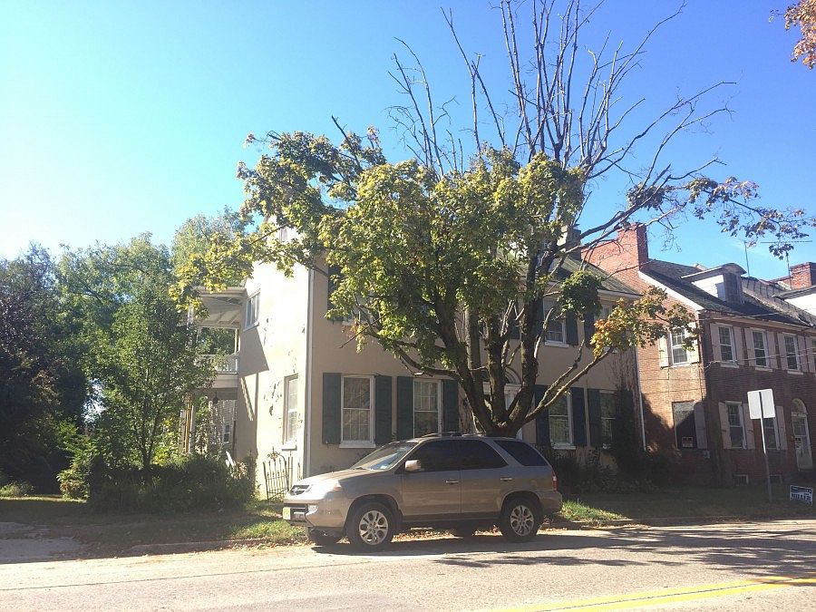 2nd image of 71 W Broadway
